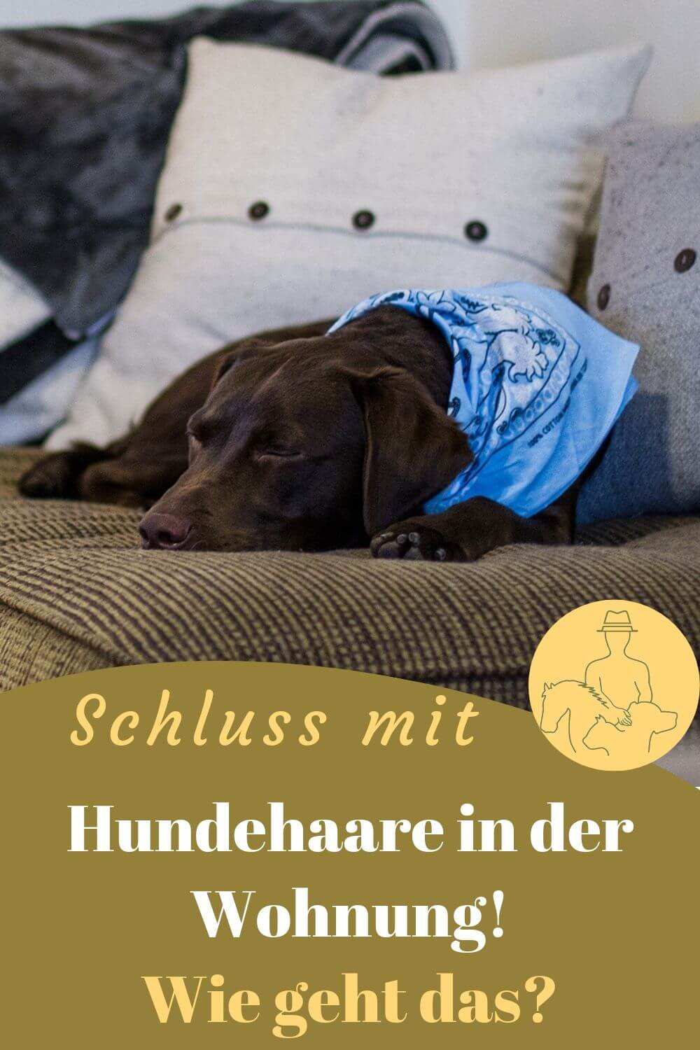 Hund bei demFellwechsel - der Fellpflege unterstützen