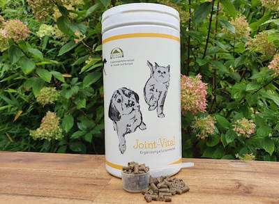 Das ist ein Foto vom Joint Vital von Reico Dies ist ein Bild von Joint-Vital Hund und Katze
