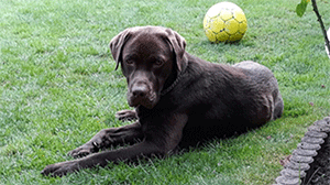 Erfahrung Reico-Vital-Systeme