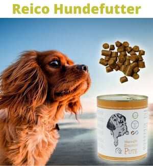 Reico Hundefutter kaufen