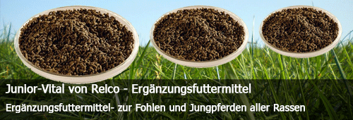 Junior-Vital  Fohlenstarter - Nahrungsergänzung für Fohlen