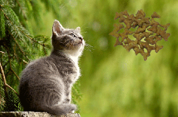 Reico Katzenfutter online bestellen